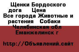 Щенки Бордоского дога.  › Цена ­ 30 000 - Все города Животные и растения » Собаки   . Челябинская обл.,Еманжелинск г.